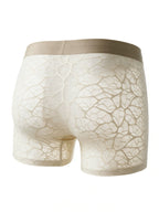 Flat lay back view of the ILLUSION beige sheer lace trunks in apricot, highlighting the seamless, ultra-thin, and breathable fabric design.