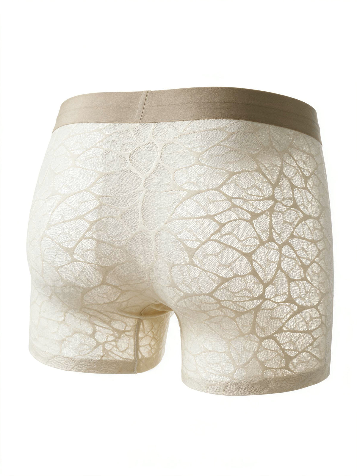 Flat lay back view of the ILLUSION beige sheer lace trunks in apricot, highlighting the seamless, ultra-thin, and breathable fabric design.