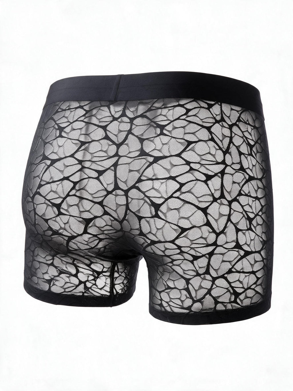 Flat lay back view of the ILLUSION black sheer lace trunks in apricot, highlighting the seamless, ultra-thin, and breathable fabric design.