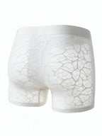 Flat lay back view of the ILLUSION white sheer lace trunks in apricot, highlighting the seamless, ultra-thin, and breathable fabric design.