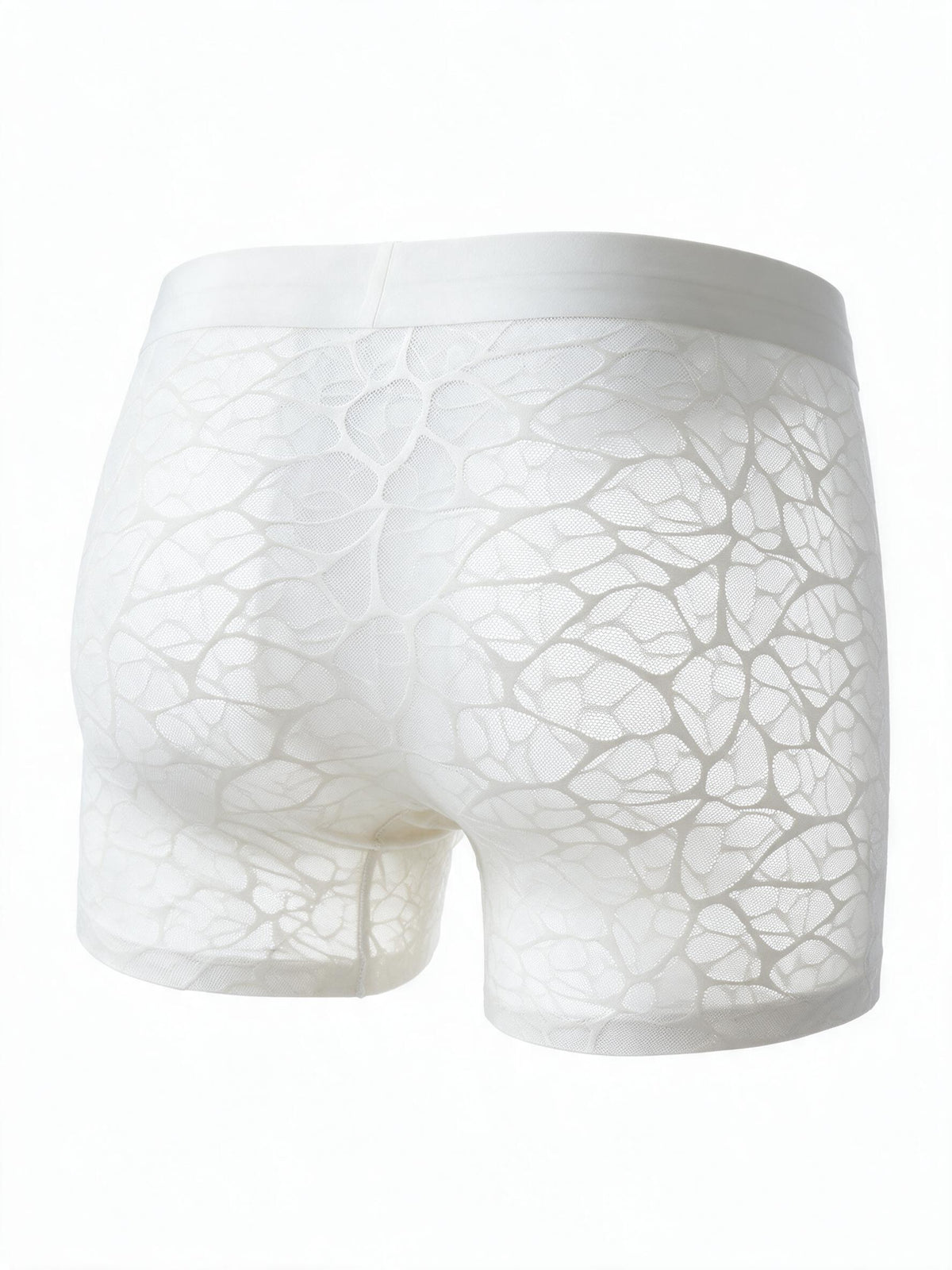 Flat lay back view of the ILLUSION white sheer lace trunks in apricot, highlighting the seamless, ultra-thin, and breathable fabric design.