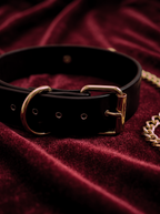 Close-up of the premium gold-tone classic buckle and D-ring on the Velvet Fluxe KIRA black leather collar. Showcasing the high-end craftsmanship of our luxury intimate armor and sensual play gear